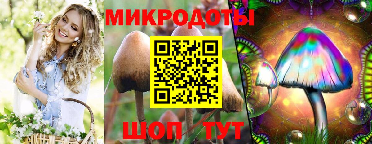 Партизанск  Галлюциногенные грибы мухоморы  Вход с VPN 